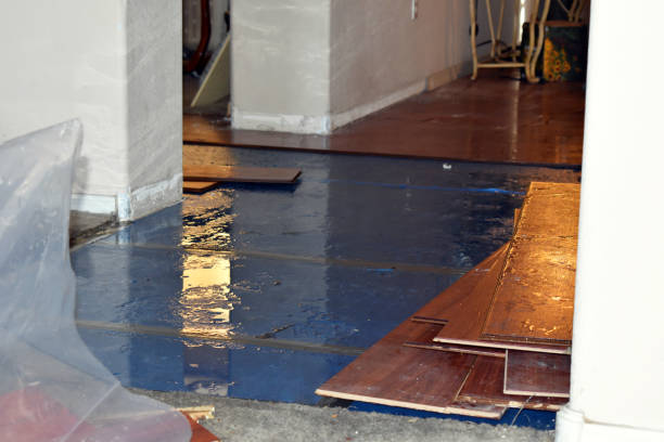 Professional Emergency Water Damage Restoration technician working in Branch, MI